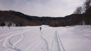 パウダースノー最高！