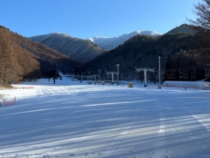 今日のロイヤルクリスティー